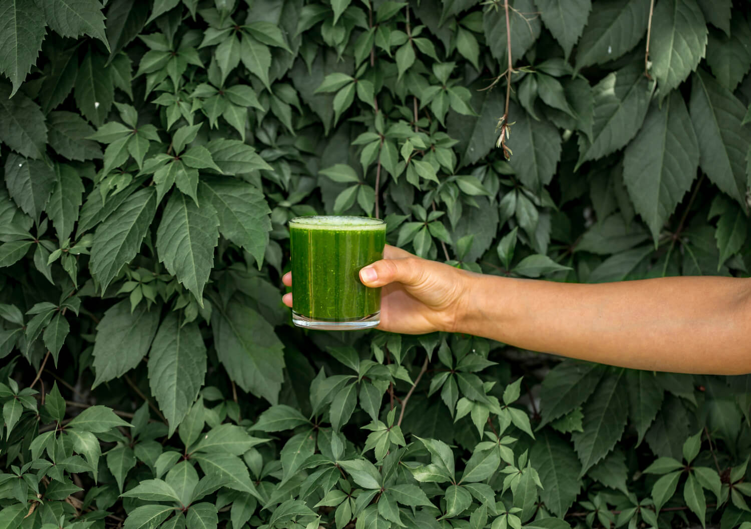 a hand holding a glass of green liquid