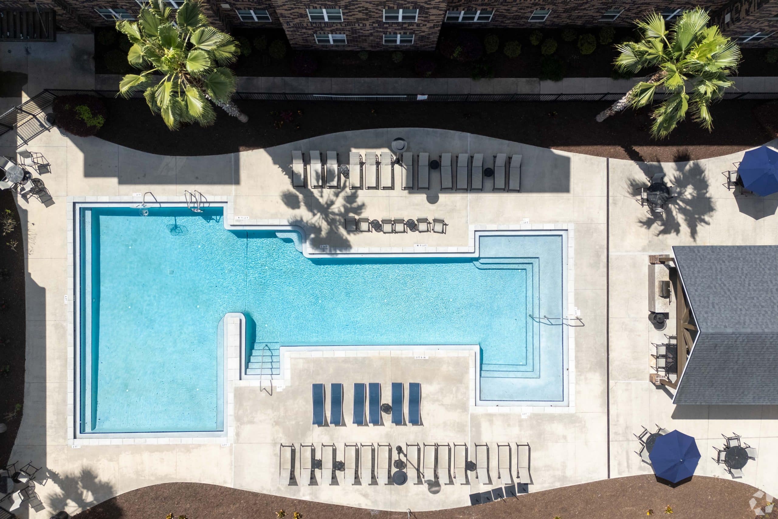 a pool with lounge chairs and palm trees